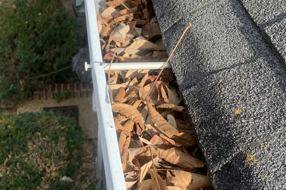 Gutter Cleaning Roanoke