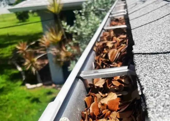 Gutter Cleaning Roanoke home page