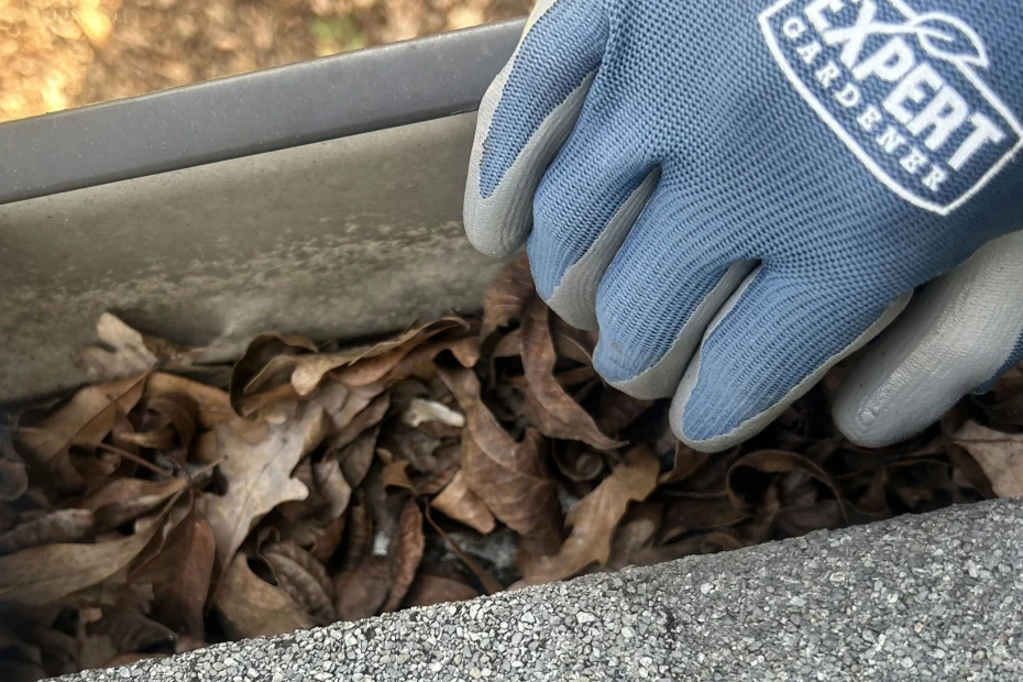 Roanoke Gutter Cleaning