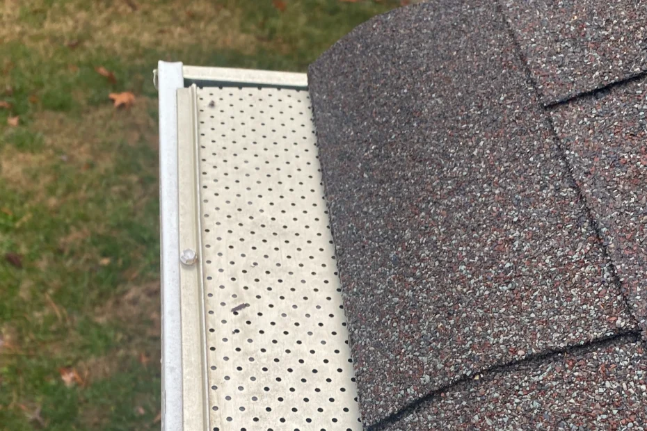 Roanoke Gutter Cleaning